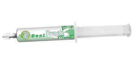 DENT FRESH Mint – koncentrat 50ml zielony