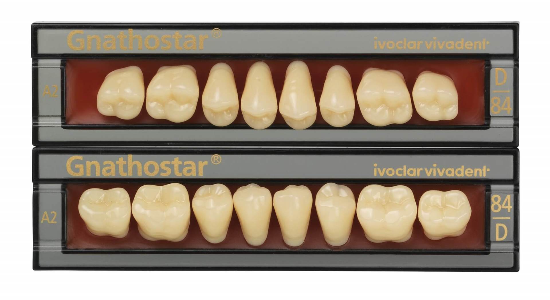 Zęby GNATHOSTAR